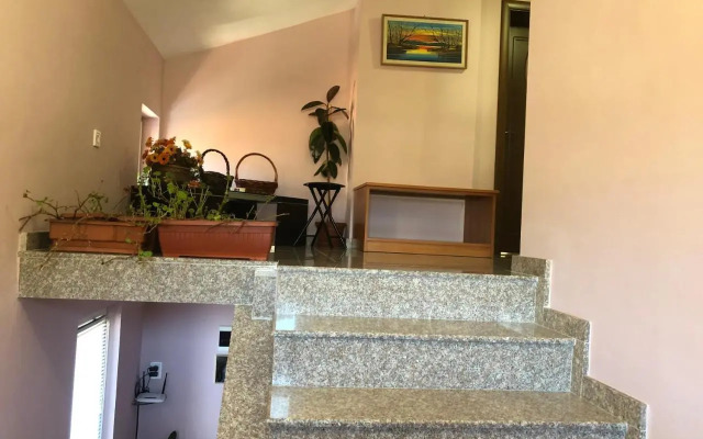 Vasilevi House