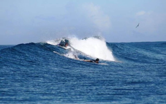 Funky Fish Beach & Surf Resort - Hostel