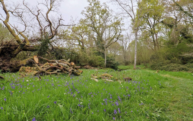 Oak Shepherd Hut