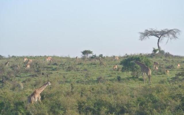 Nyati Hill Cottages