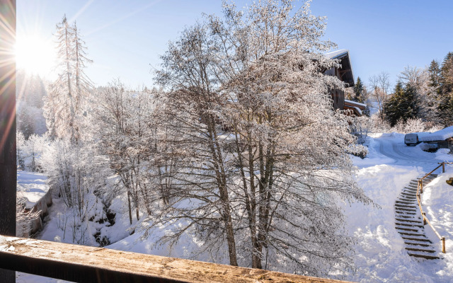 Vacancéole - Grand Morillon