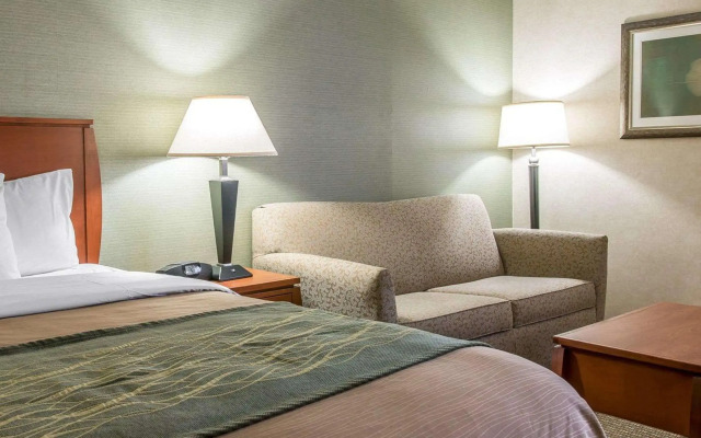 Comfort Inn Near Greenfield Village