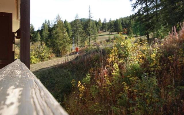 Appartement Puy-Saint-Vincent, 1 pièce, 4 personnes - FR-1-330G-45