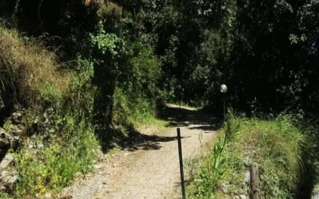 Janardan Homestay Nainital