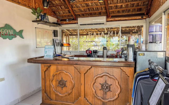 Baja Mia Suites And Tours