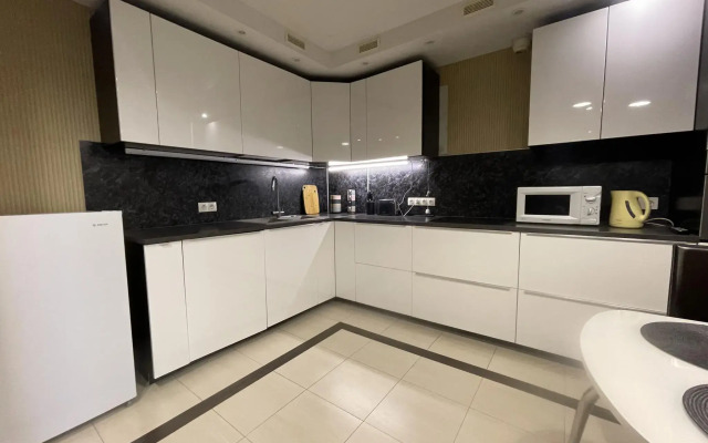 Apartments on Chekhov street 85