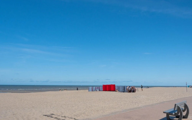 Ster Der Zee On Sea Shore