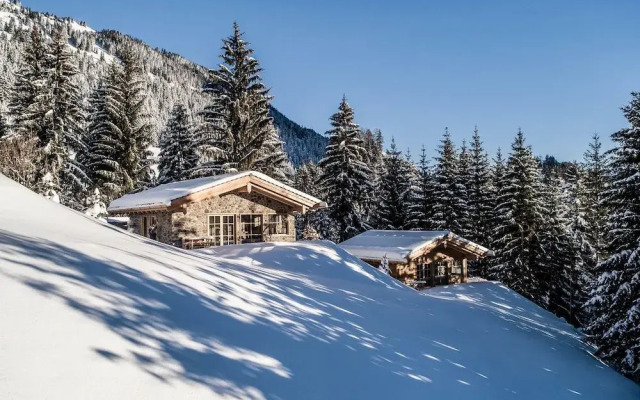 Benglerwald Berg Chaletdorf