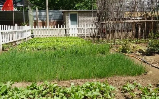 Shidu Glory Homestay