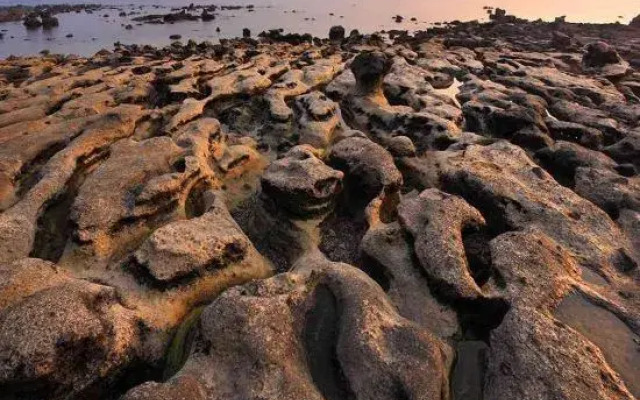 Courtyard Weizhou Island Shell Beach