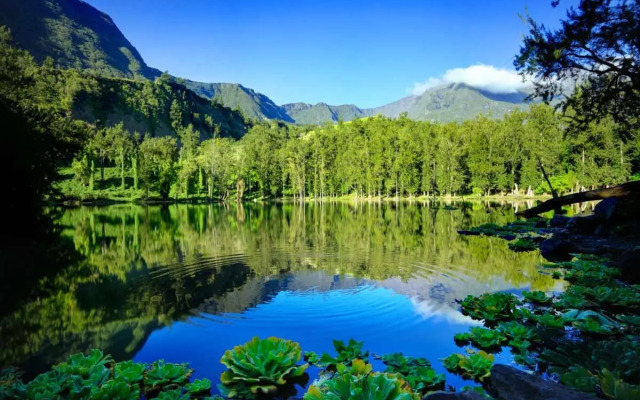 The Seven Motel Salazie à 15 min d'hell bourg