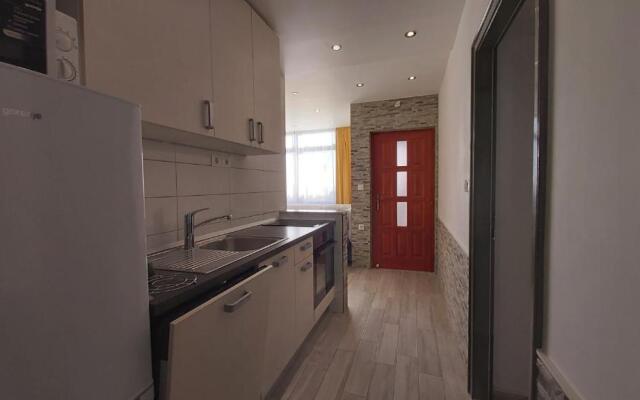 Apartments Druzianic