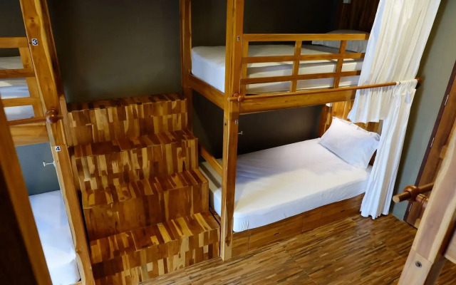 Bloom Cafe & Hostel Lipe