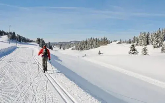 Hôtel Bellevue Le Rocheray
