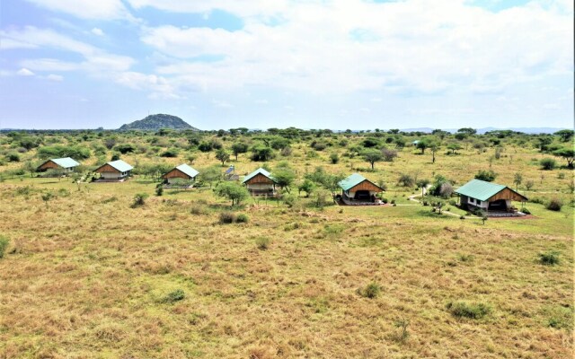 Africa Safari Serengeti Ikoma in Serengeti National Park, Tanzania from 230$, photos, reviews - zenhotels.com