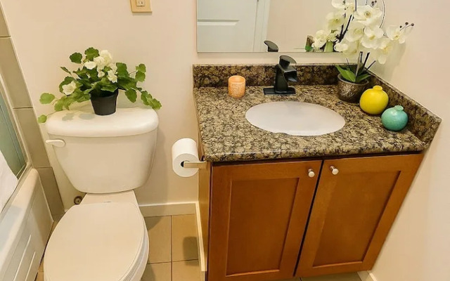 Cozy Capitol Hill with Needle View