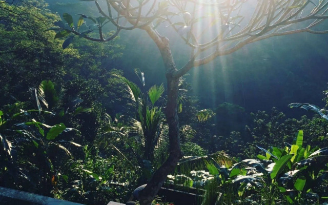 Green View Private Villas