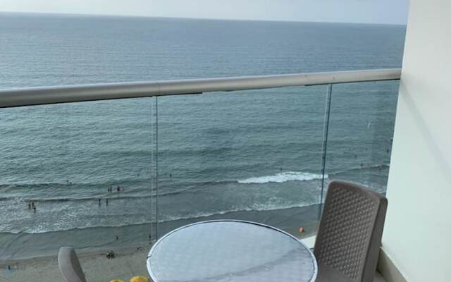 Palmetto Eliptic 1501