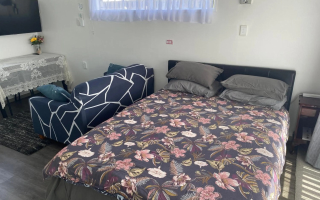 Homestay En-Suite Private Bathroom, Private Entrance, Heatpump, Netflix close to Hospital – Guest Rooms – Hamilton