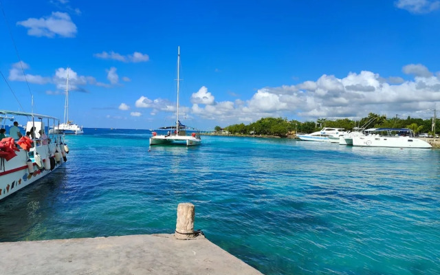 Estrella Dominicus - Dominican Experience