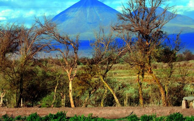 Tierra Atacama