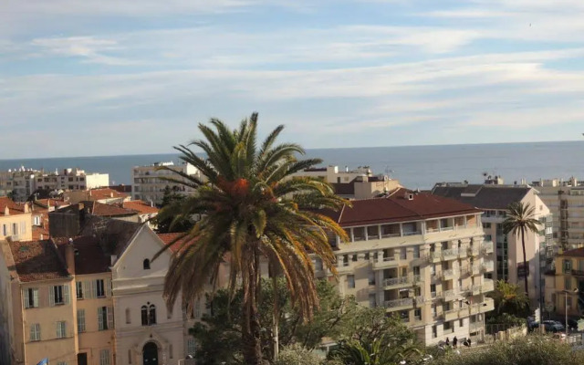 ACCI Cannes les Yuccas