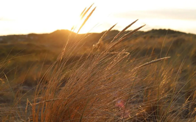 Landal Résidence Terschelling