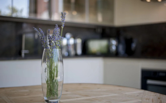 Penthouse Chamberi Deluxe