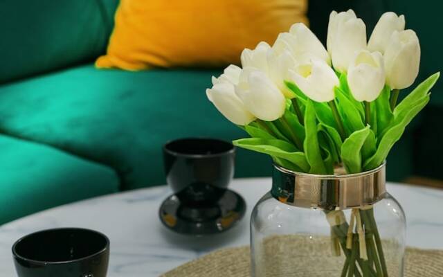 Stara Praga Vistula Apartment