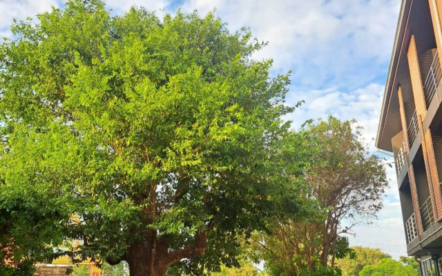 the corn resident maesot