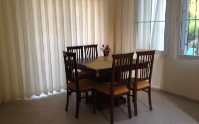 Dream Of Holiday Turk