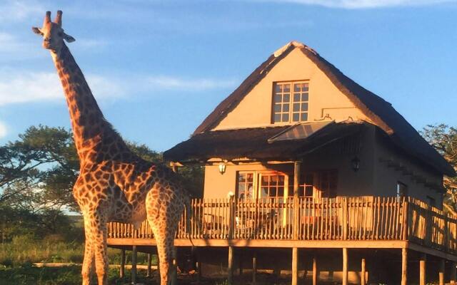 Ukuthula Lodge