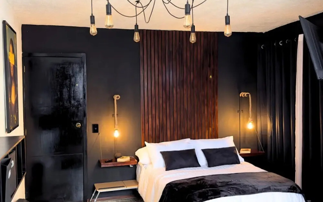 HOMSTY