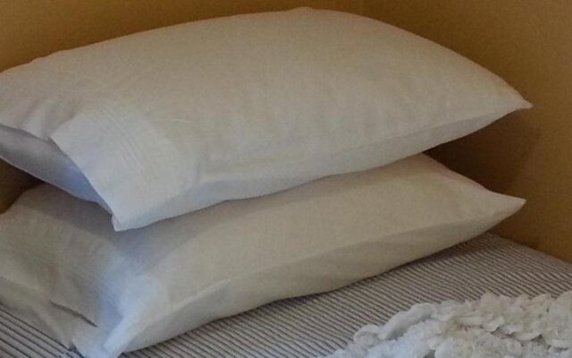 Sydney Airport Executive Homestay
