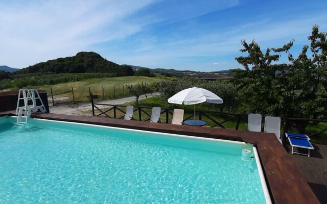 Mimosa - Borgo la Civitella