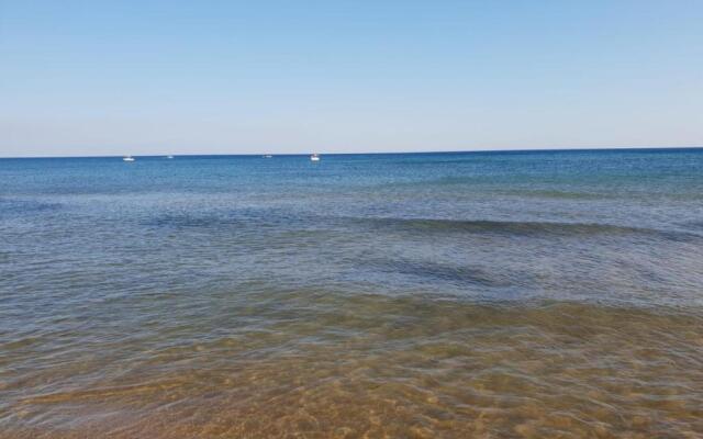 Triscina 83