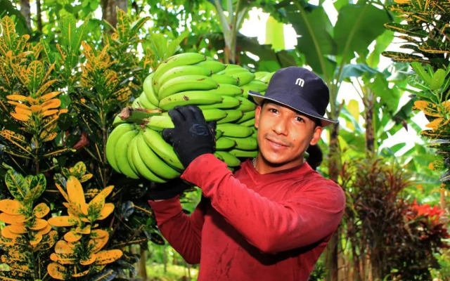 Natura Gardens Galápagos Hotel