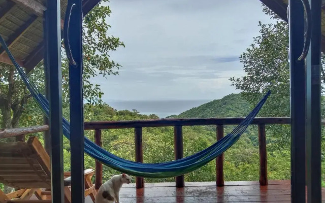 Tree House Bungalows