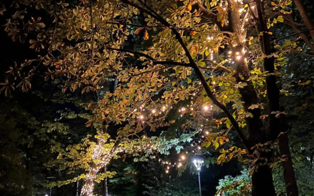 White Deluxe Apartments