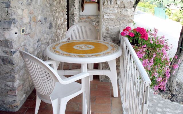 La Tartufaia (TMO101)