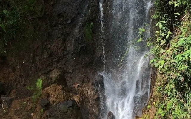 Charco corazón