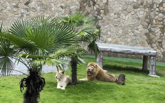 Zhongnan Lion King Resort Hotel