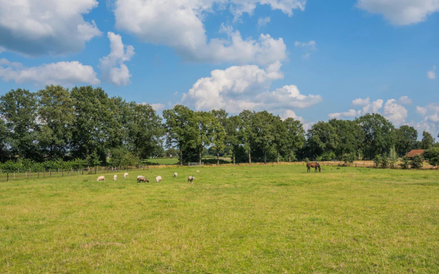 Grandeur Farmhouse in Dwingeloo at a National Park
