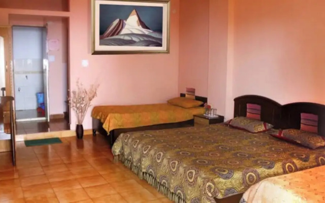 Hotel Himshikhar Joshimath
