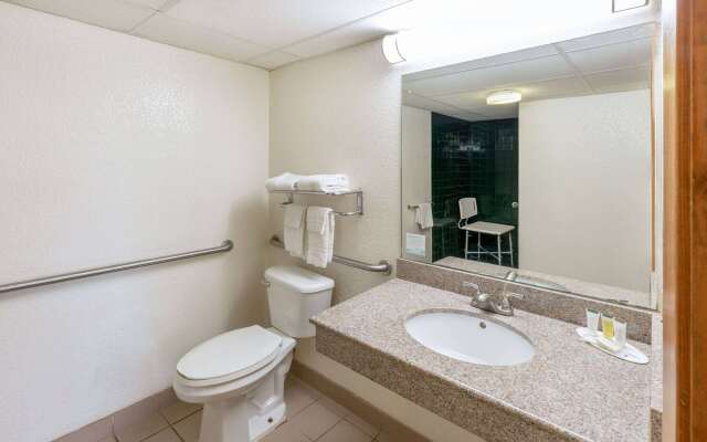 Super 8 by Wyndham Seguin