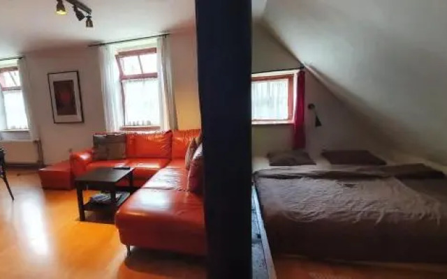 Apartmá v Rodném domě Vincenze Priessnitze v centru lázní