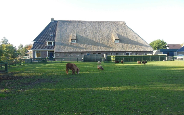 Situated in a Peaceful Village Called Arum