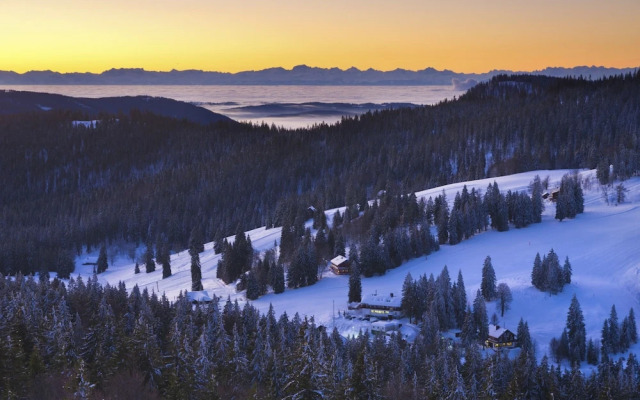 Kuckucksnester Feldberg