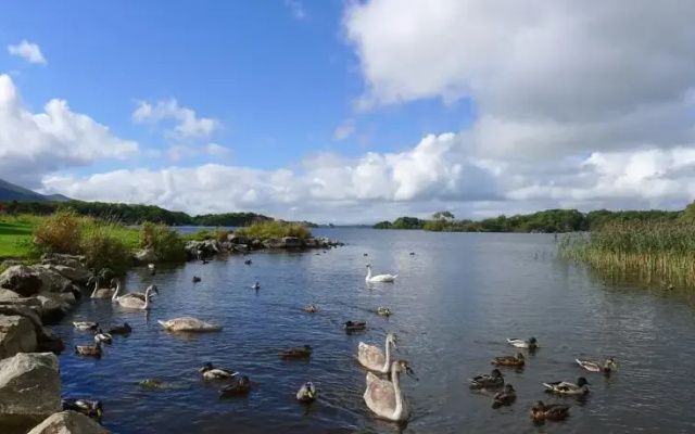 Keanes of Curraheen