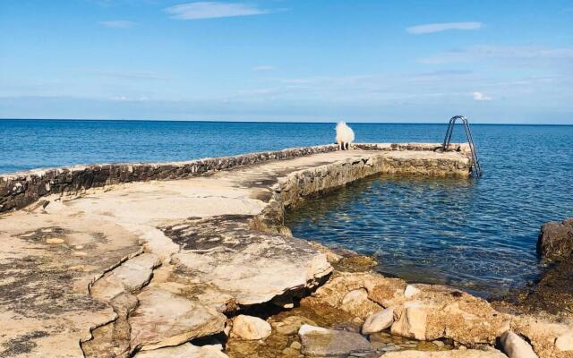 Nata a - A4(4) in Umag